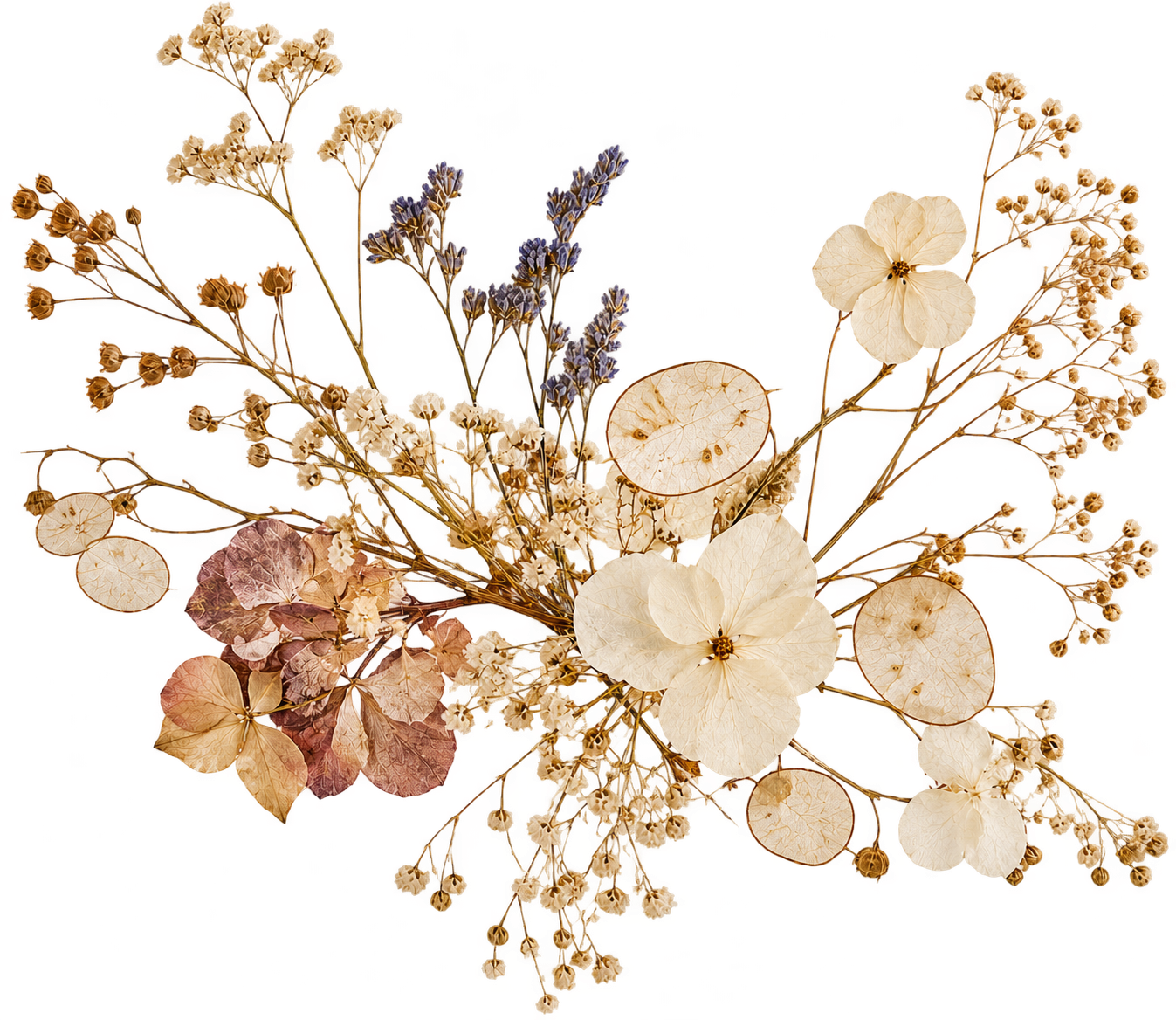 Composition de fleurs séchées, lavande, pétales et capsules translucides inspirant l’univers de la collection