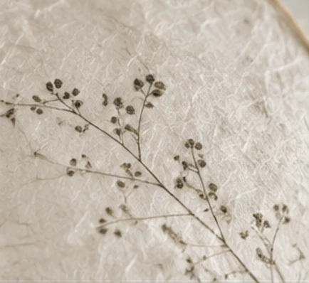 Fleurs des champs et fibres du papier botanique